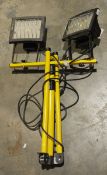 Double work lights on folding metal tripod stand