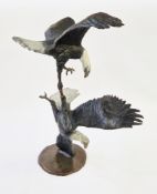 Belinda Sillars (b.1961), large chocolate patinated bronze of two sea eagles fighting mid flight,
