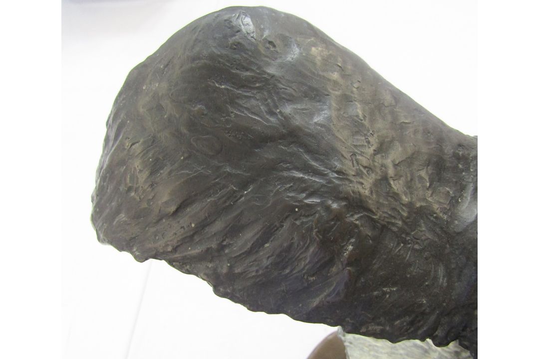 Belinda Sillars (b.1961), large chocolate patinated bronze of two sea eagles fighting mid flight, - Image 4 of 5