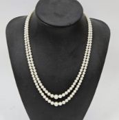 Double strand of graduated cultured pearls with silver coloured metal clasp in blue velvet box