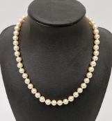 Single row cultured pearl necklace, the uniform size pearls of approximately 6mm diameter, 9k gold