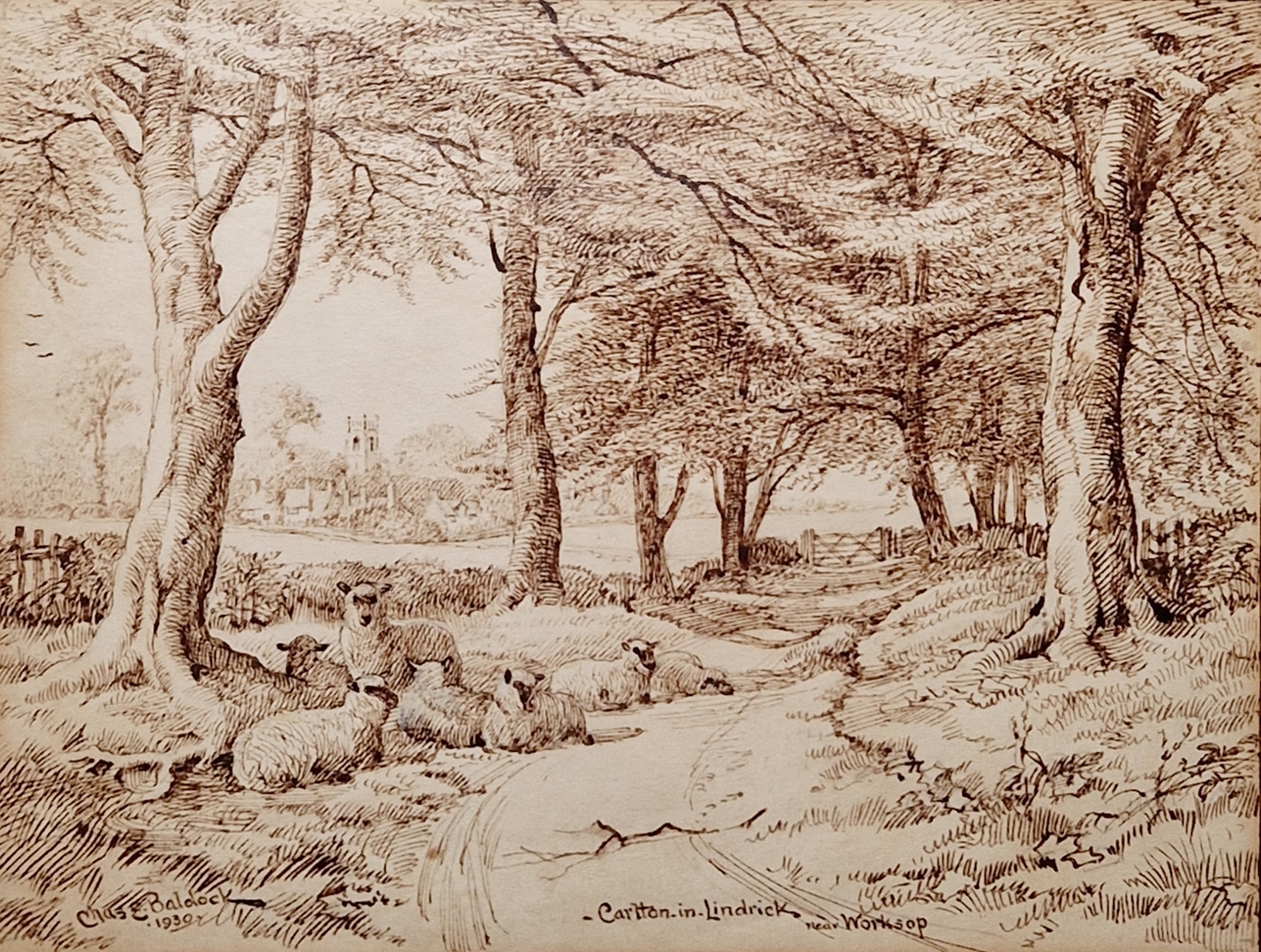 Charles Edwin Baldock (1876-1941) Pen and ink drawing 'Carlton-in-Lindrick, Near Worksop', sheep