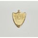 Victorian gold shield-shaped pendant, rubbed hallmarks, presented as an award for the Transvaal - Image 2 of 2