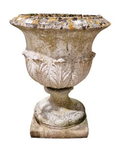 Treasures in Boxes, Books & Household Items (Cirencester)