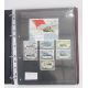Stamps of Soviet Union & Russia: Three maroon cover albums full of Polar exploration covers and - Image 13 of 21