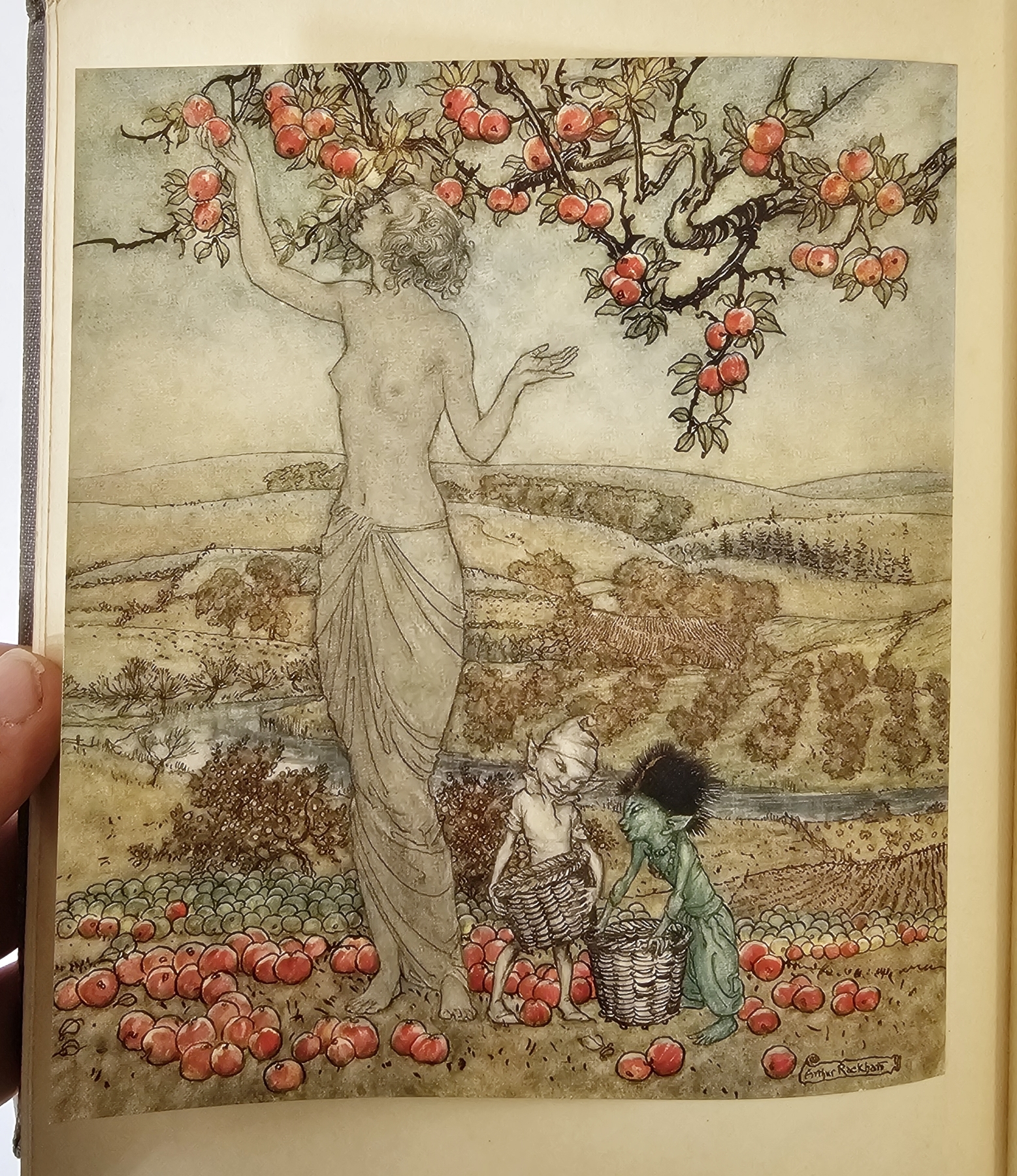Rackham, Arthur (ills) "Irish Fairytales", by James Stephens, Macmillan & Co 1920, colour plates