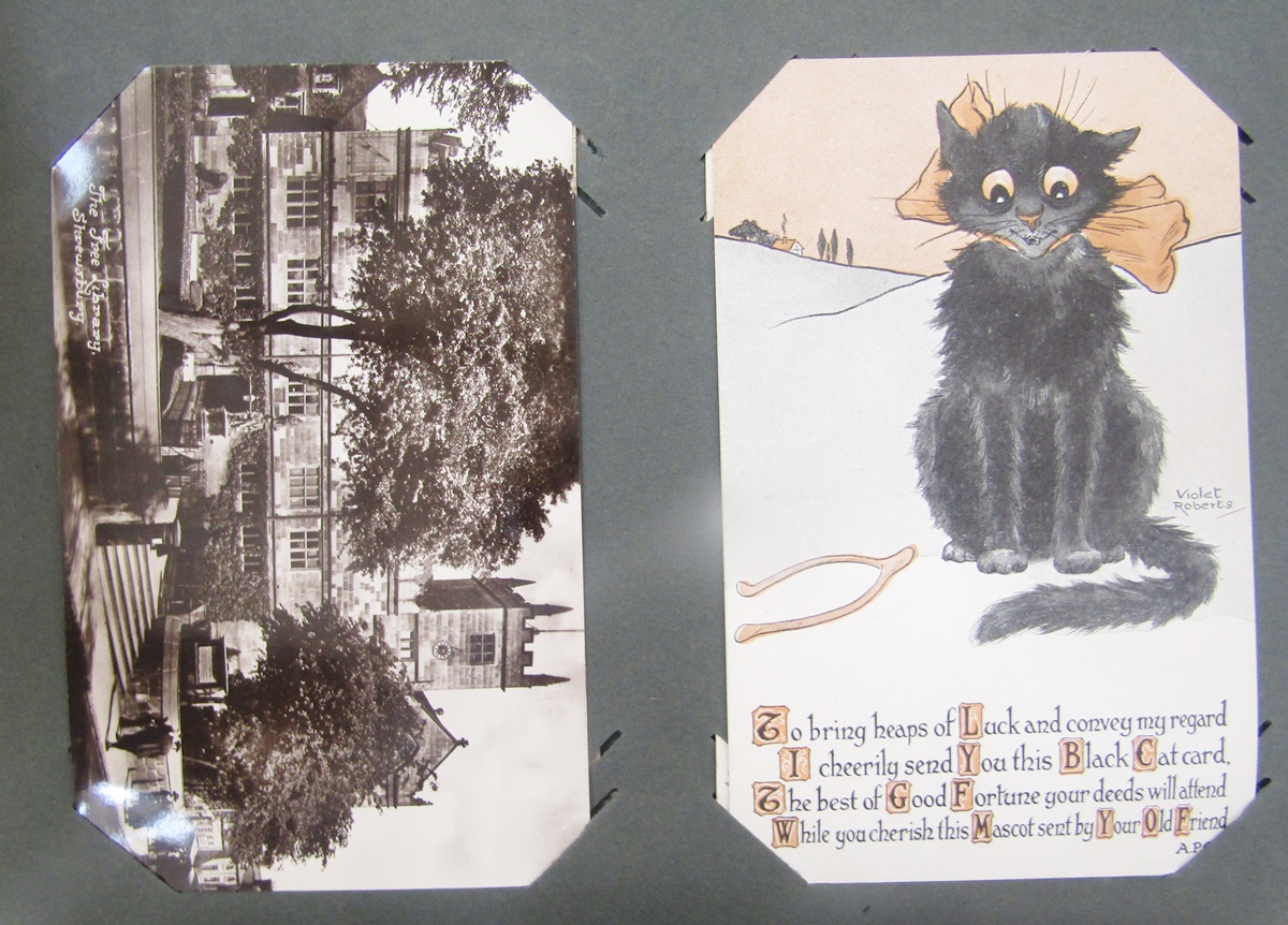 Two albums of postcards to include Black Cats, greetings cards, topographical and portrait, and - Image 5 of 15