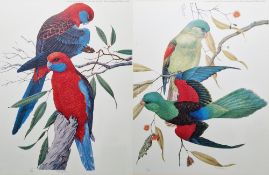 After Robin Hill (Australian 1932-) Colour print Two limited edition prints of parrots, signed and