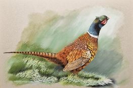 Terence James Bond (b.1946) Watercolour 