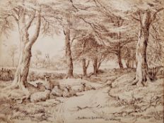 Charles Edwin Baldock (1876-1941) Pen and ink drawing 'Carlton-in-Lindrick, Near Worksop', sheep