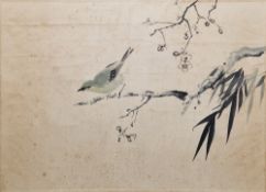 Late 19th/early 20th century Chinese school Watercolour/inks on paper Bird perched on branch,