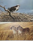 After Robert Bateman (b.1930) Colour lithograph Three limited edition prints to include 