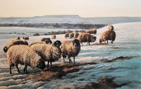 Robert Nicholls (20th century) Pastel on paper Sheep in snow covered landscape, signed and dated