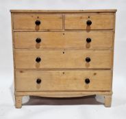 Early 19th century pine chest of two short and three graduating long drawers, with turned ebony