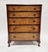 Early 20th century walnut and burr walnut chest of drawers having chamfered corners and five long