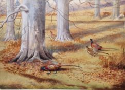 Philip Rickman (1891-1982) Watercolour Pheasants in woodland, signed lower right, framed and glazed,