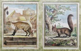Pierre Charles Baquoy (1759-1829) Handcoloured engraving on paper Le Renard, pl. XLII, p. 228 from