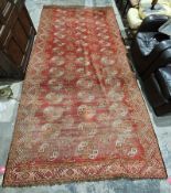 Old Afghanistan large red rug, elephant's foot design with 42 medallions, 420cm x 205cm
