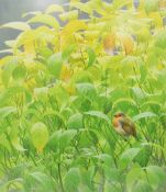 After Chris Rose (1959) Two limited edition prints of birds Comprising: a robin amongst leaves,