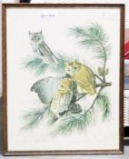 Three framed ornithological prints Comprising: two limited edition coloured prints, Alex