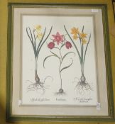 Group of framed botanical prints, two framed pictures of pressed grasses, a framed panel of silk a