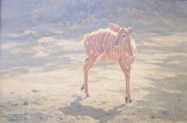 Dino Paravano (b.1935) Oil on canvas 