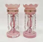 Large pair of Victorian pink glass lustres, gilt and enamelled with oval panels of flowerheads, on