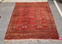 Persian rug on terracotta ground, 14 elephant foot guls in blue, gold, green and cream (well worn