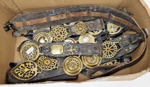 Collection of ten leather horse straps mounted with approximately forty six horse brasses, some