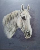 Marjorie Cox (1915-2003) Two portraits of horses, pastel on paper Titled 'Hoppy' and 'Charlie',