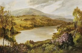 S. A. Webber (20th century) Oil on board Highland lake scene, signed lower right, image size 49cm