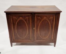 Edwardian mahogany and cross-banded side cabinet, the top with thumbnail moulded edge over two panel