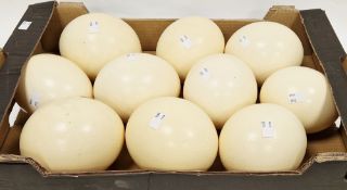Collection of 10 unpainted ostrich eggs, 16cm high approx. (10)
