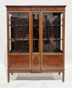 Edwardian Sheraton Revival mahogany display cabinet, the moulded cornice over two astragal glazed