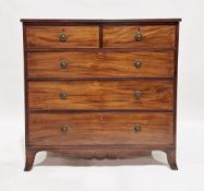 Early 19th century mahogany chest of two short over three long graduating cockbeaded drawers, the
