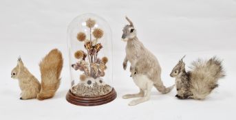 Three models of animals covered in real fur including kangaroo with joey, red squirrel and a grey
