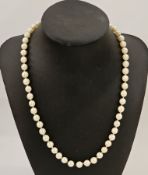 String of cultured pearls with gold-coloured clasp