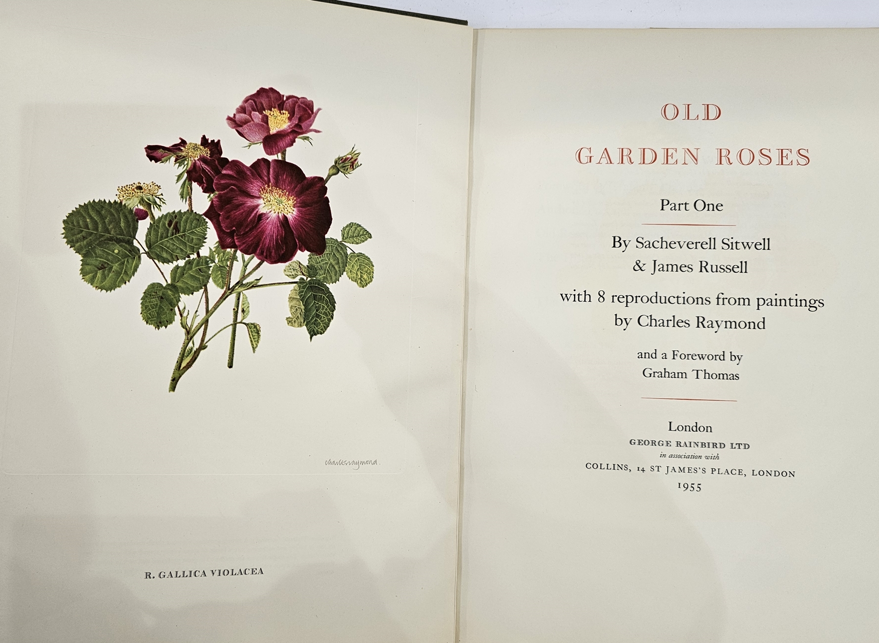Sitwell, Sacheverell and Russell, James, "Old Garden Roses Part One", with 8 reproductions from - Image 37 of 40
