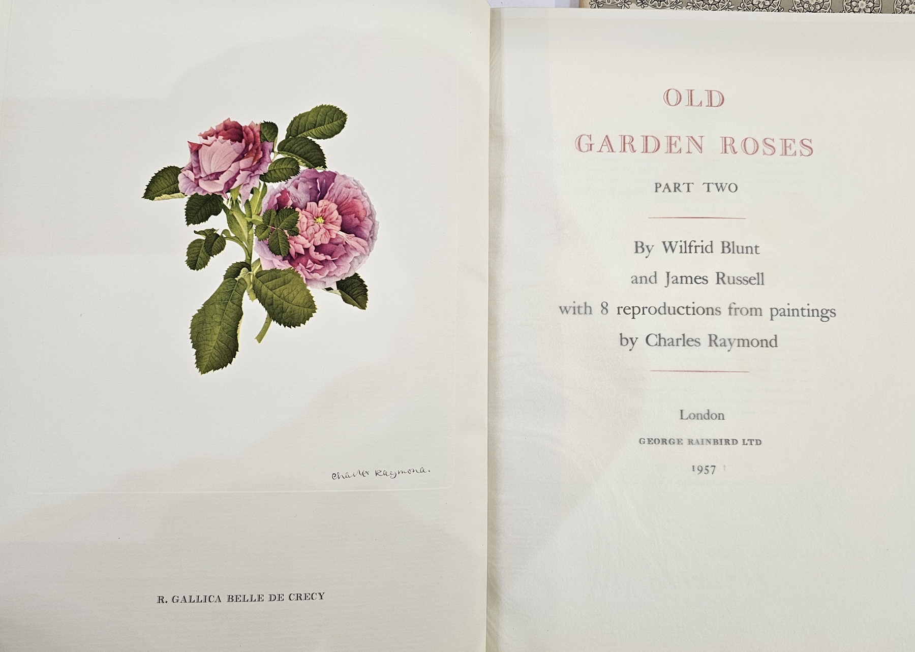 Sitwell, Sacheverell and Russell, James, "Old Garden Roses Part One", with 8 reproductions from - Image 5 of 40