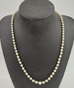 String of graduated cultured pearls