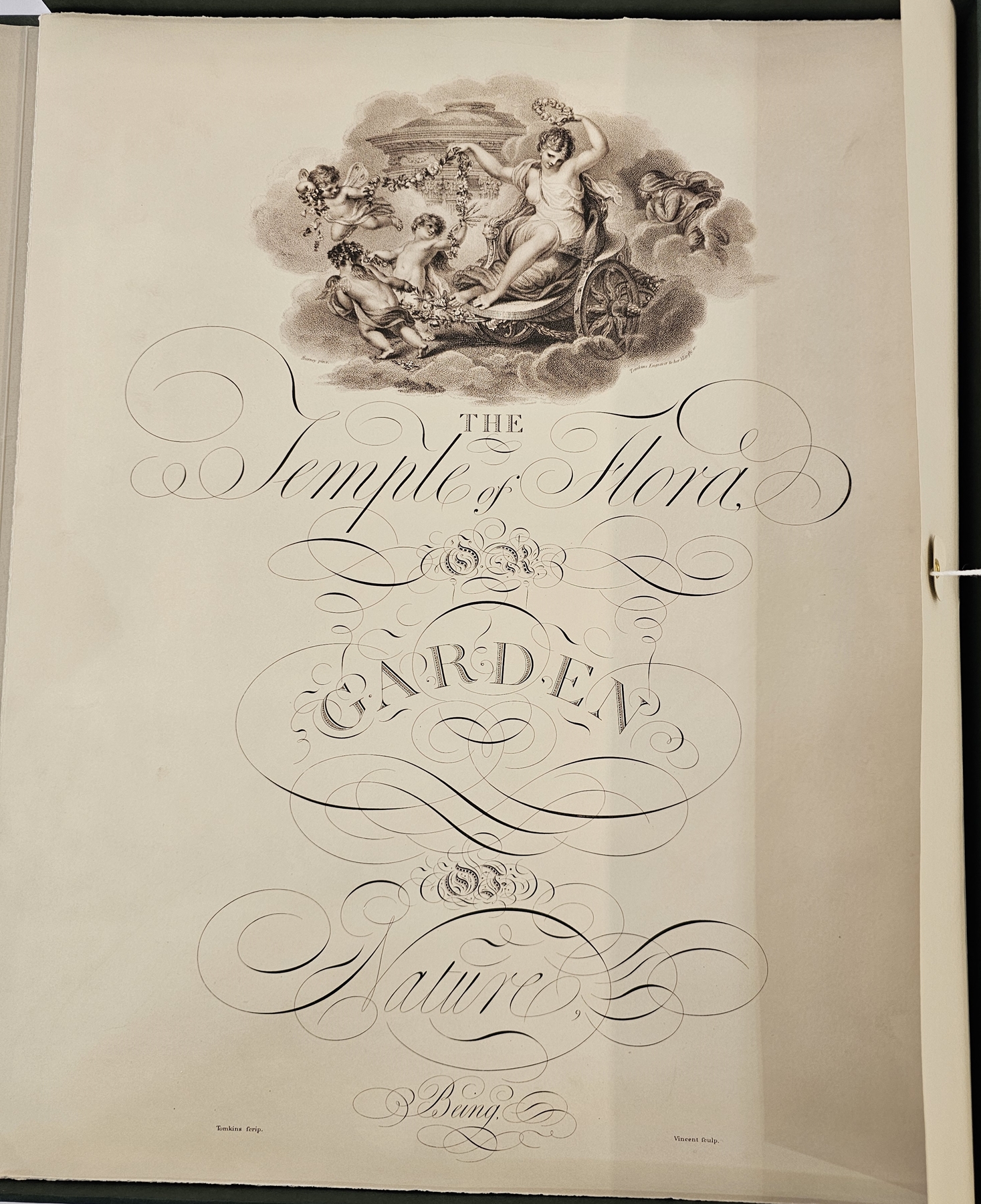 "The Temple of Flora - Essays and Descriptions of Plates", Taschen, text in English, German, - Image 4 of 5