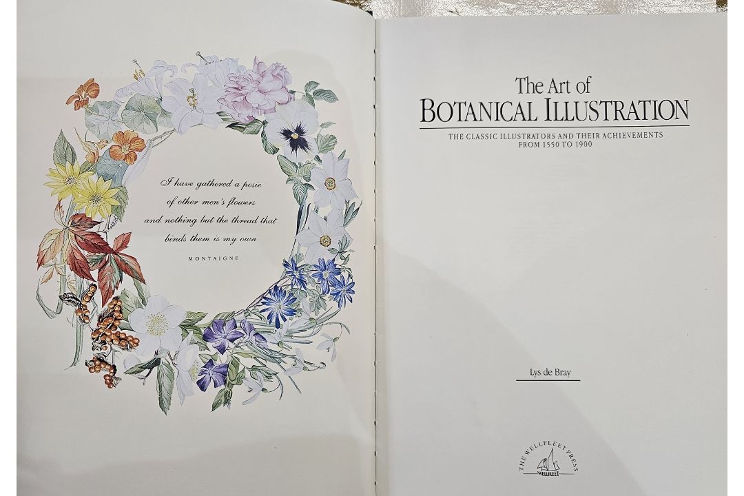 Wilfred Blunt , George Dynossis ' Ehret ' Charles W Trailon publisher 1963, folio with plates [ - Image 7 of 12