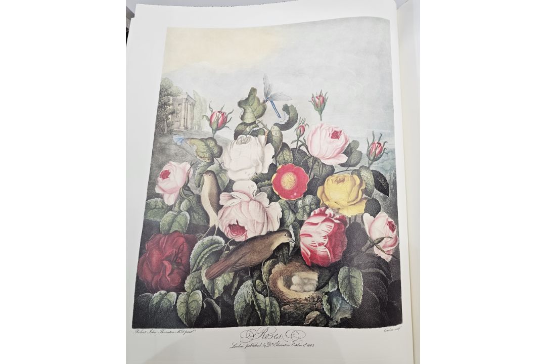 Folio Society [Thornton, Robert] "The Temple of Flora", Harris, Stephen "Author of the - Image 6 of 12