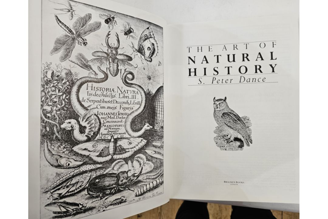 Wilfred Blunt , George Dynossis ' Ehret ' Charles W Trailon publisher 1963, folio with plates [ - Image 12 of 12