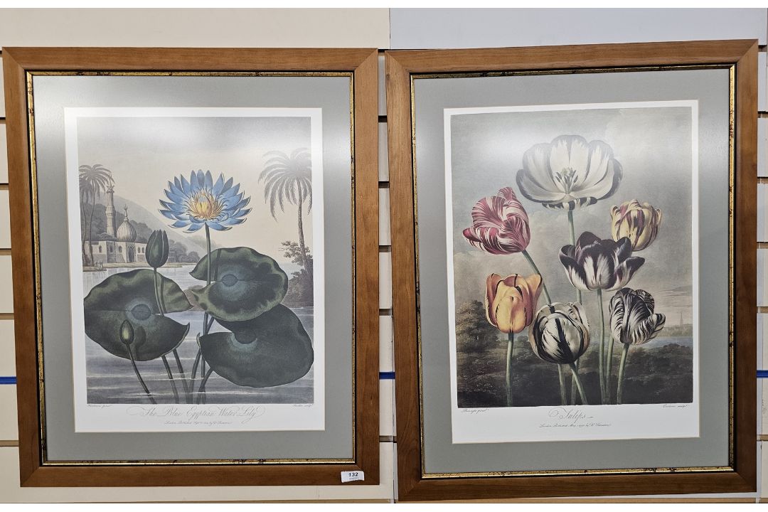 Folio Society [Thornton, Robert] "The Temple of Flora", Harris, Stephen "Author of the - Image 12 of 12
