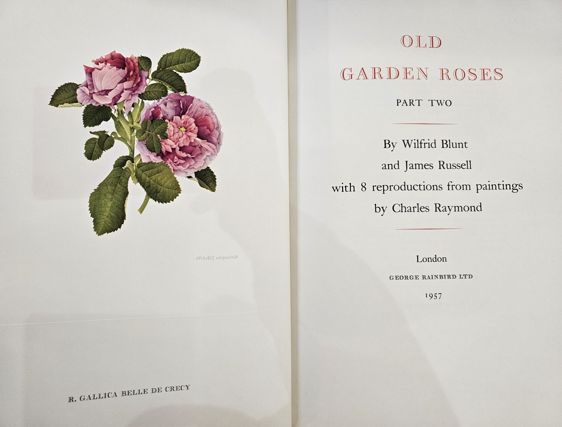 Sitwell, Sacheverell and Russell, James, "Old Garden Roses Part One", with 8 reproductions from - Image 29 of 40
