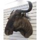 Taxidermy Blue Wildebeest (Connochaetes Taurinus) shoulder mount looking slightly to the right, 73cm - Image 3 of 3