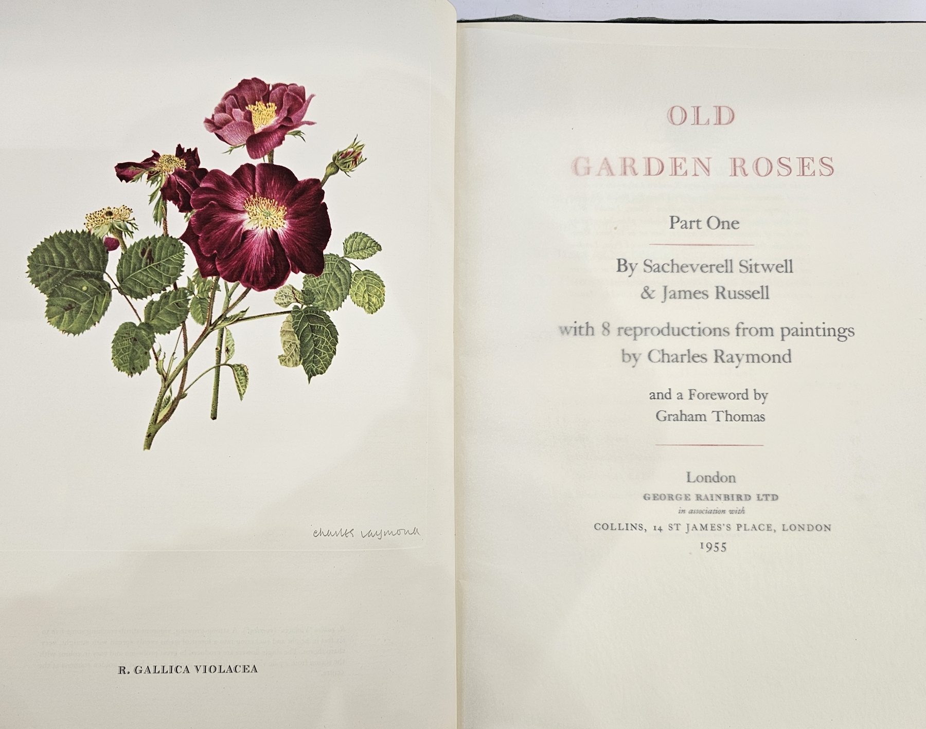 Sitwell, Sacheverell and Russell, James, "Old Garden Roses Part One", with 8 reproductions from - Image 3 of 40