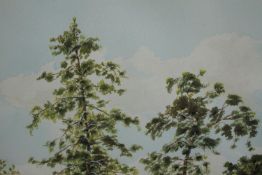 George McNab. Watercolour. Titled 'Tree tops from an upstairs room'. Framed and glazed. H.35 W.39cm.