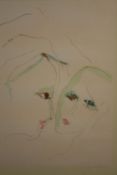Lithograph. Indistinctly signed in pencil and numbered 60/100. Framed and glazed. H.72 W.53cm.
